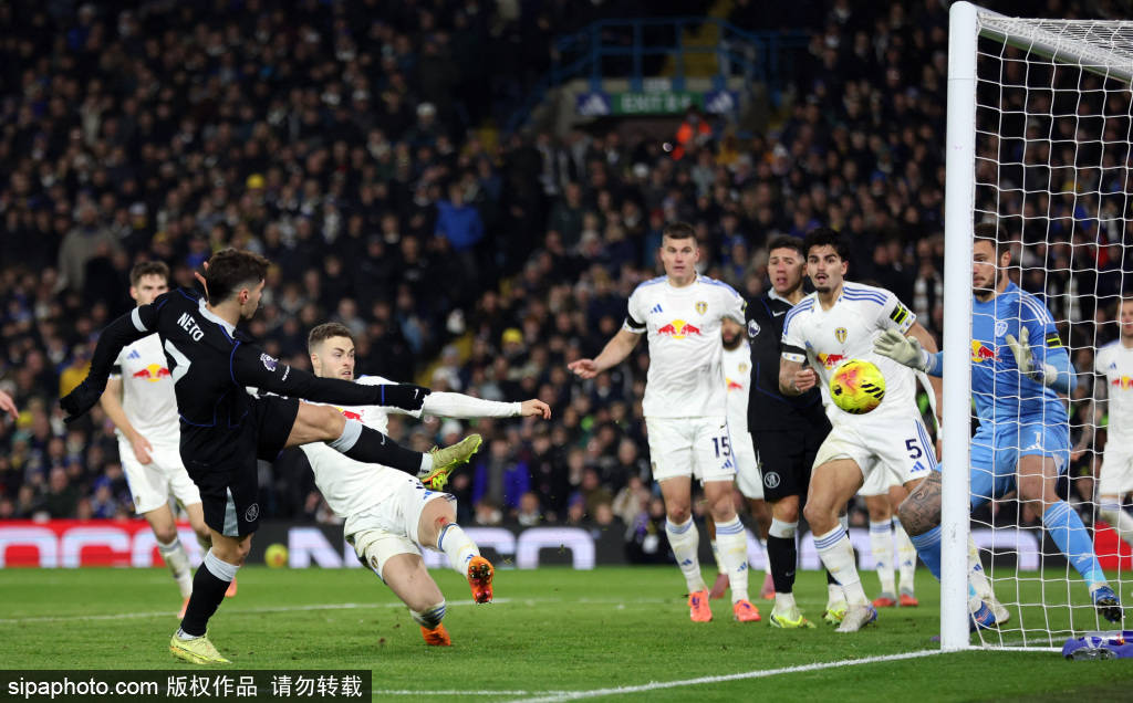 利兹联主场战平多特蒙德：争夺欧冠席位的简单介绍